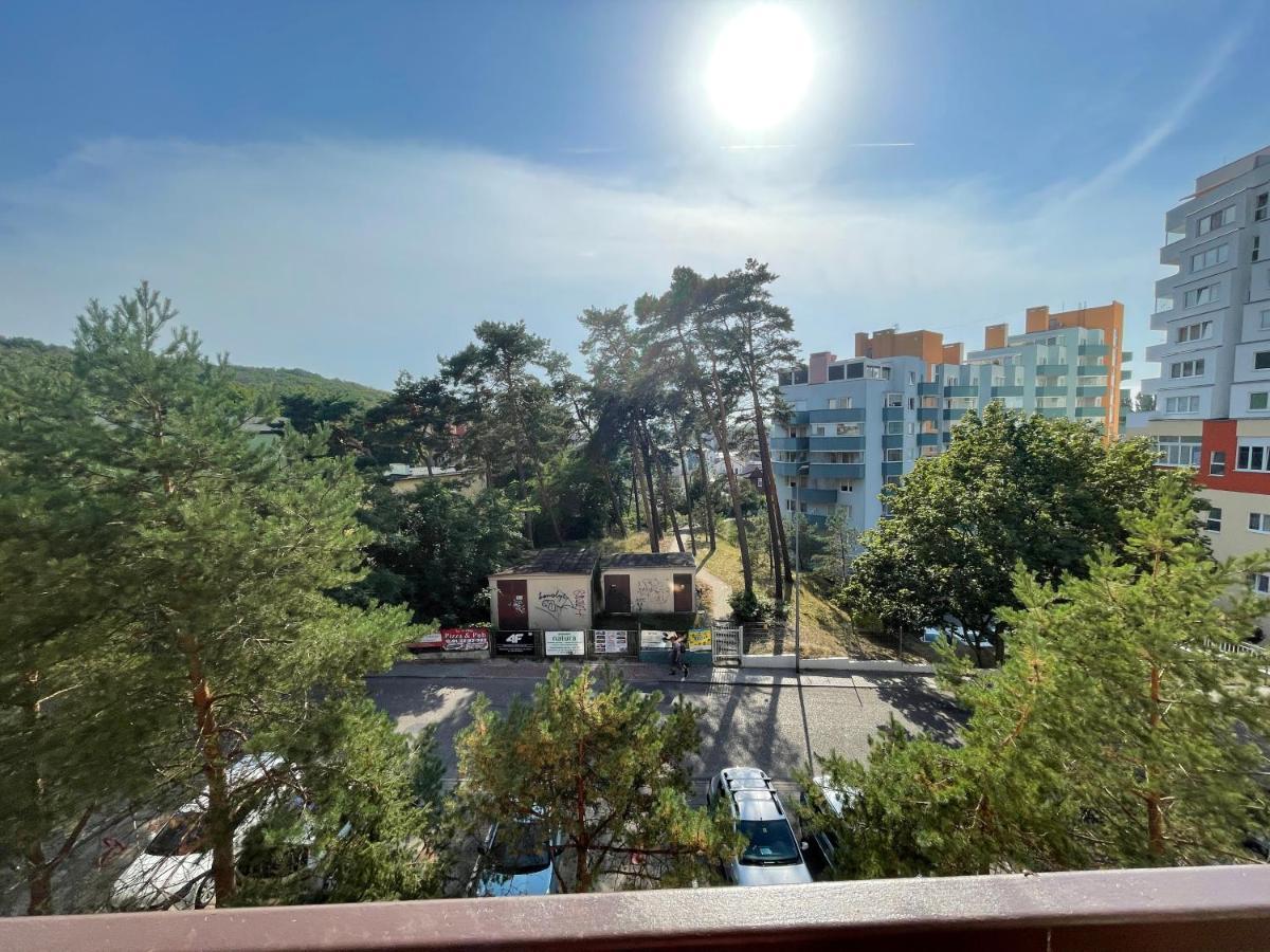 Wolin-Travel Apartament Dom Przy Parku 米兹多洛杰 外观 照片